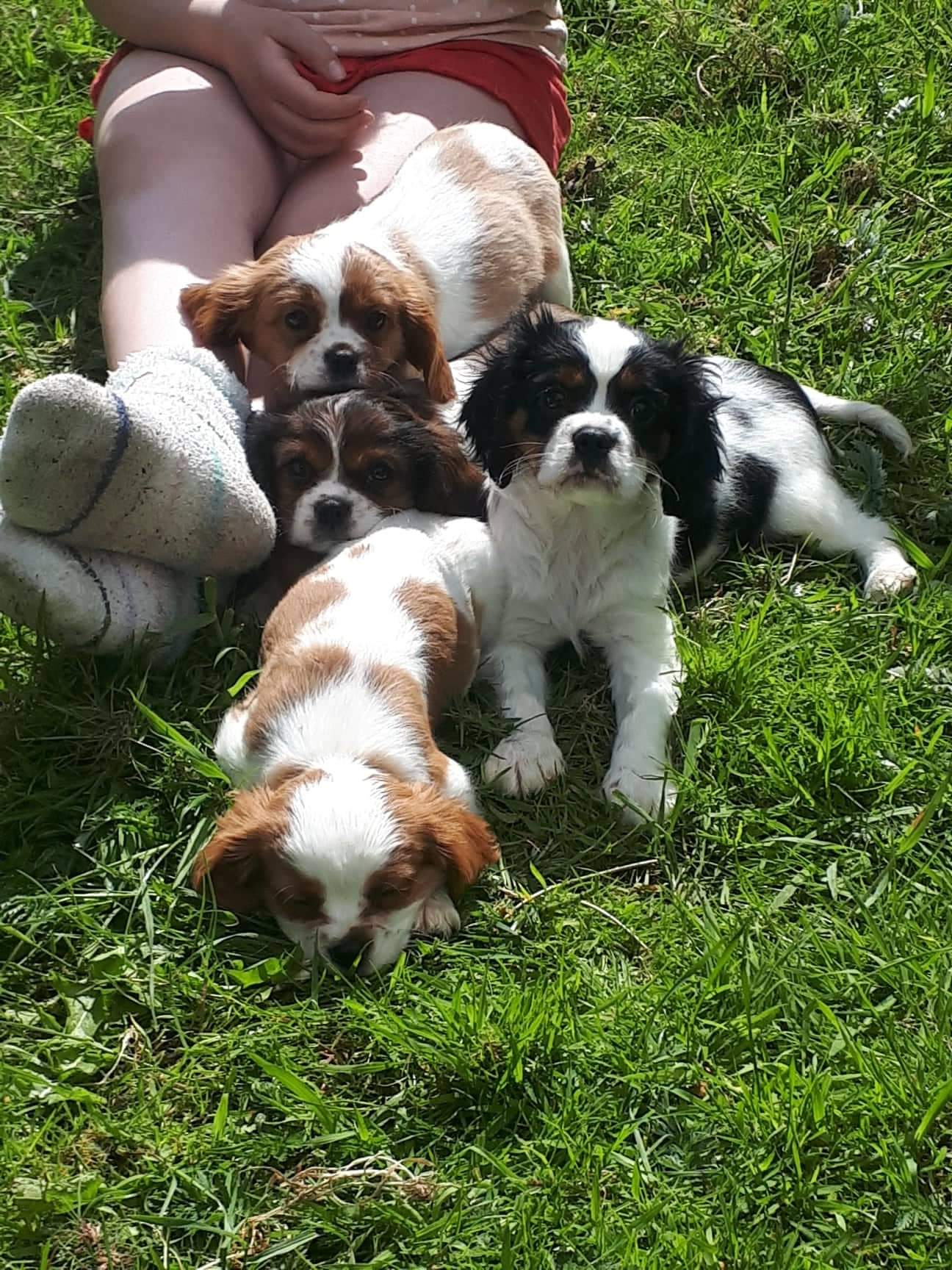 received_316046880194889