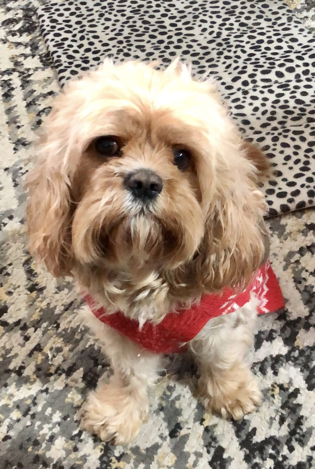 9F89A101-2C70-4024-A48C-7D864CA7DDC3