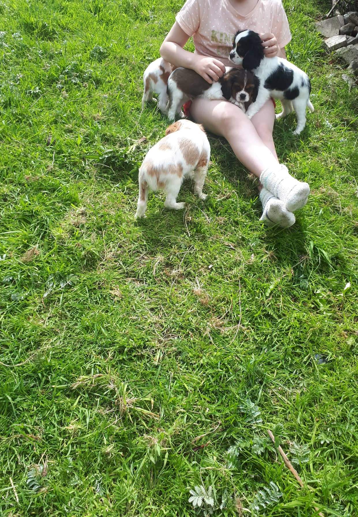 received_224238769276397