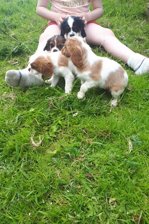 received_908589186364825